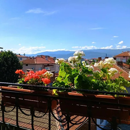 Uspeh Bg Plovdiv